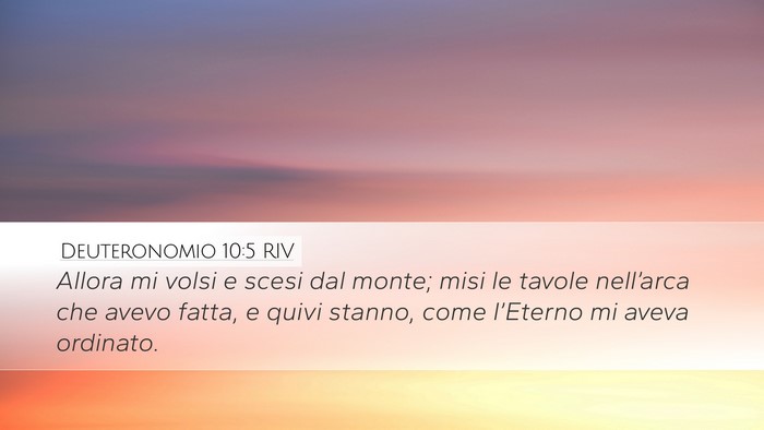 Deuteronomio 10:5 RIV Bible Verse Image