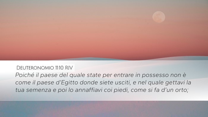 Deuteronomio 11:10 RIV Bible Verse Image