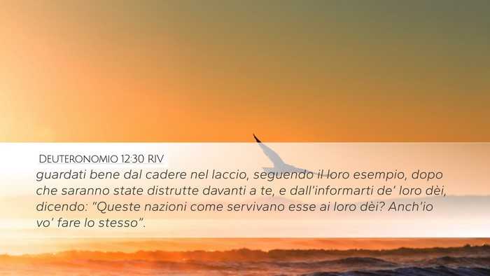 Deuteronomio 12:30 RIV Bible Verse Image