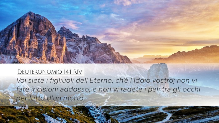 Deuteronomio 14:1 RIV Bible Verse Image