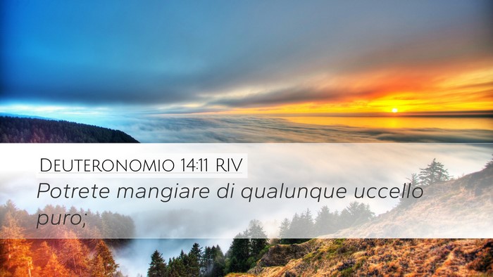 Deuteronomio 14:11 RIV Desktop Wallpaper - Potrete mangiare di qualunque uccello - Desktop Bible Verse Wallpaper