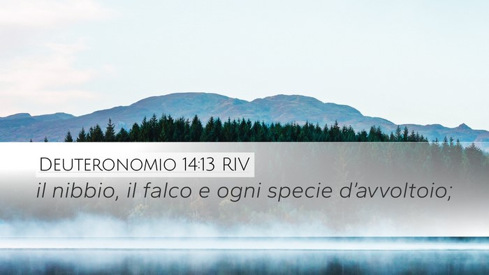 Deuteronomio 14:13 RIV Desktop Wallpaper - il nibbio, il falco e ogni specie - Desktop Bible Verse Wallpaper