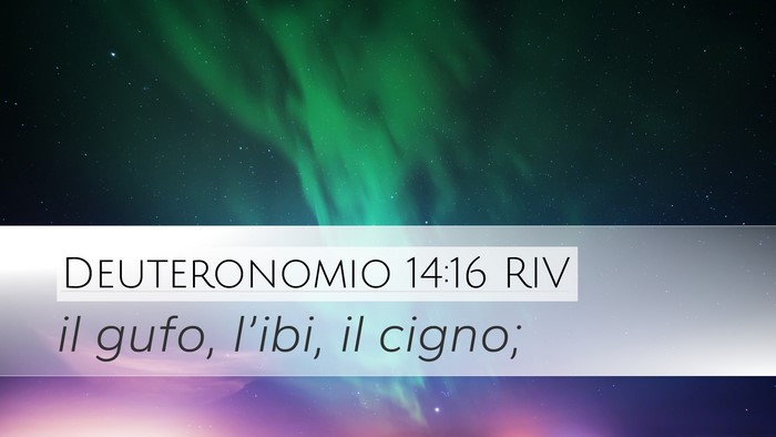 Deuteronomio 14:16 RIV Desktop Wallpaper - il gufo, l’ibi, il - Desktop Bible Verse Wallpaper