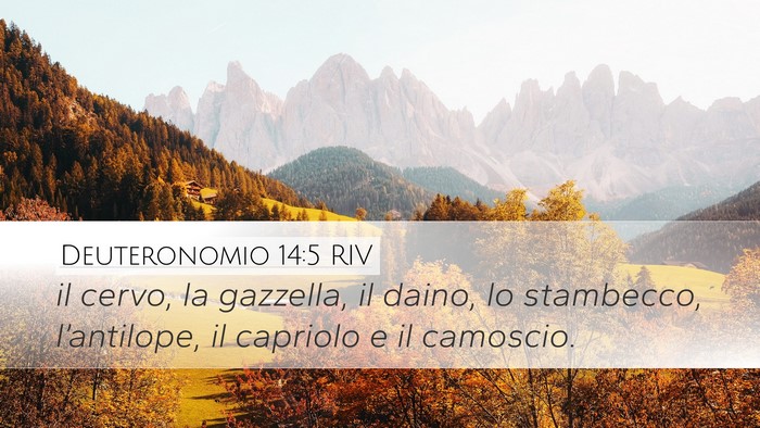 Deuteronomio 14:5 RIV Desktop Wallpaper - il cervo, la gazzella, il daino, lo stambecco, - Desktop Bible Verse Wallpaper