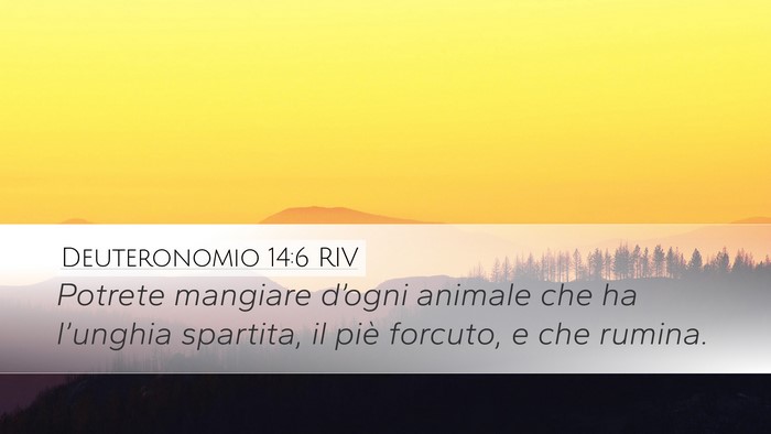 Deuteronomio 14:6 RIV Desktop Wallpaper - Potrete mangiare d’ogni animale che ha - Desktop Bible Verse Wallpaper