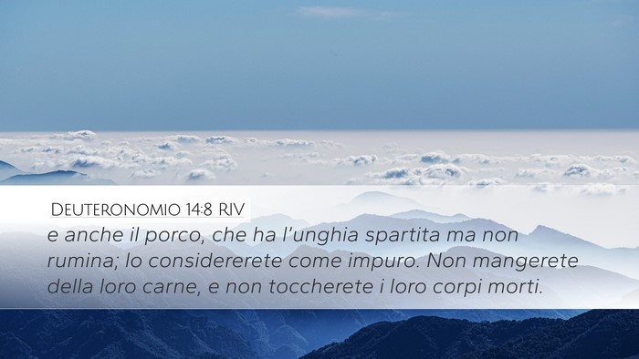 Deuteronomio 14:8 RIV Bible Verse Image