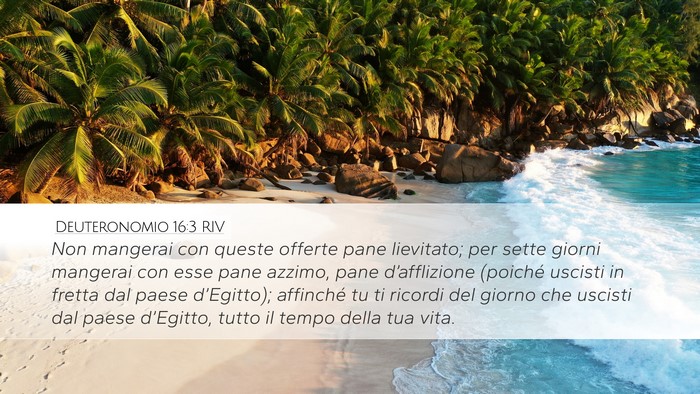 Deuteronomio 16:3 RIV Bible Verse Image