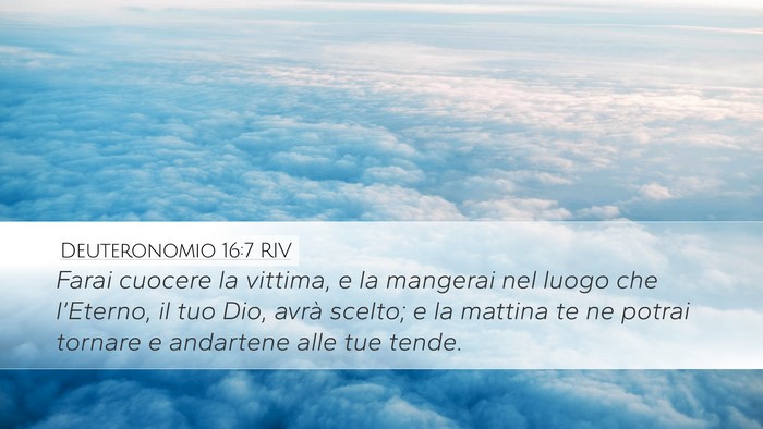 Deuteronomio 16:7 RIV Desktop Wallpaper - Farai cuocere la vittima, e la mangerai nel luogo - Desktop Bible Verse Wallpaper