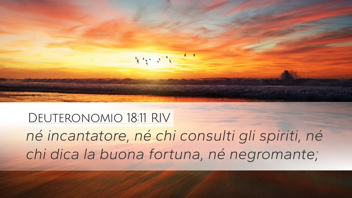 Deuteronomio 18:11 RIV Bible Verse Image