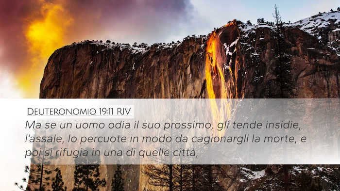 Deuteronomio 19:11 RIV Desktop Wallpaper - Ma se un uomo odia il suo prossimo, gli tende - Desktop Bible Verse Wallpaper