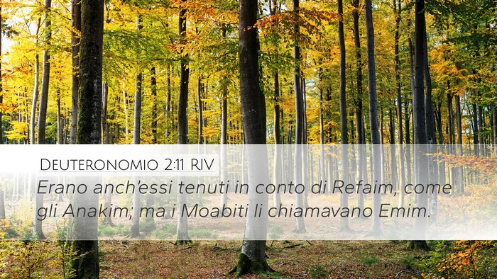 Deuteronomio 2:11 RIV Bible Verse Image