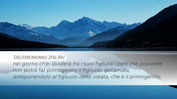 Deuteronomio 21:16 RIV Bible Verse Image