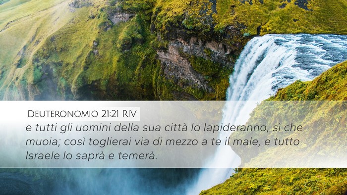 Deuteronomio 21:21 RIV Bible Verse Image