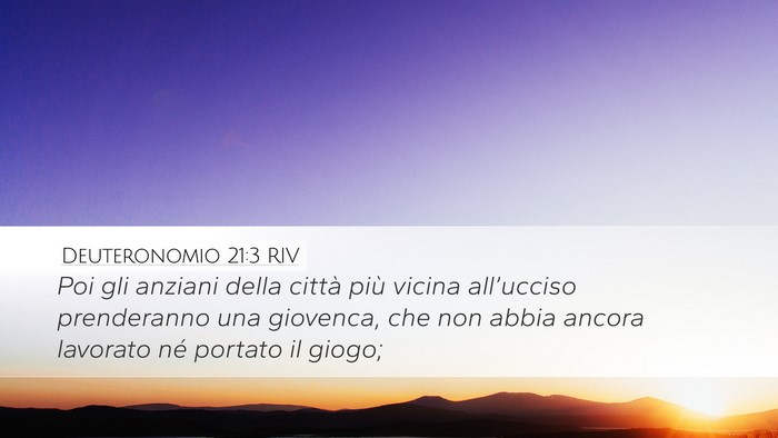 Deuteronomio 21:3 RIV Desktop Wallpaper - Poi gli anziani della città più vicina - Desktop Bible Verse Wallpaper