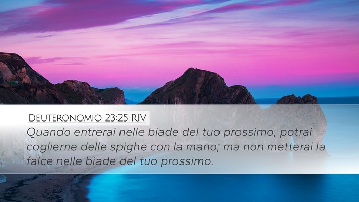 Deuteronomio 23:25 RIV Bible Verse Image