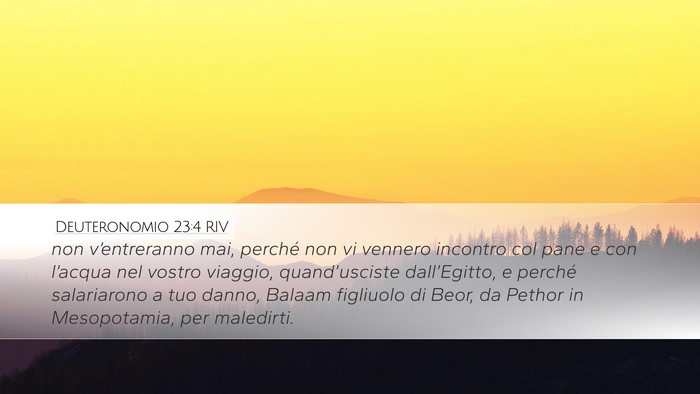Deuteronomio 23:4 RIV Bible Verse Image