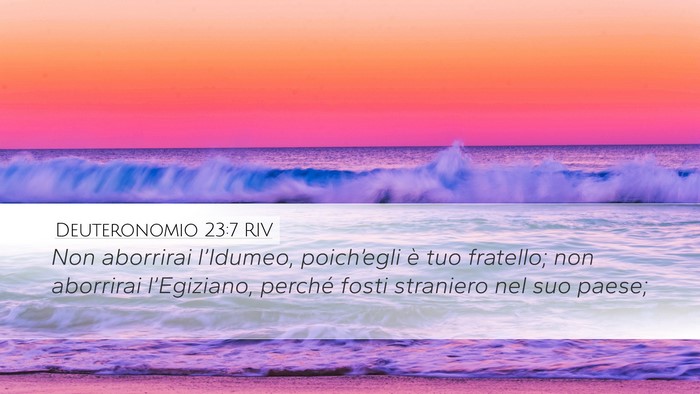 Deuteronomio 23:7 RIV Bible Verse Image