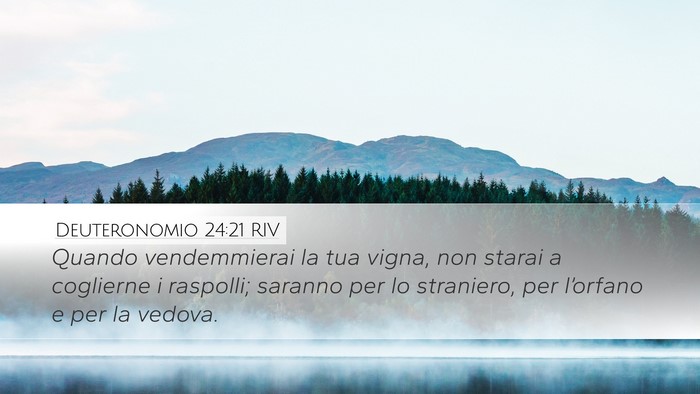 Deuteronomio 24:21 RIV Desktop Wallpaper - Quando vendemmierai la tua vigna, non starai a - Desktop Bible Verse Wallpaper