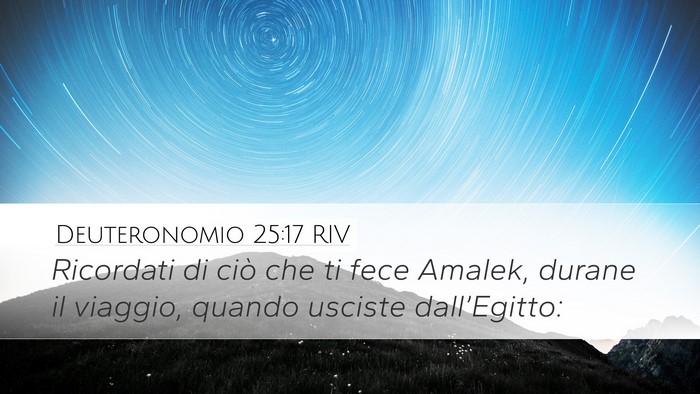 Deuteronomio 25:17 RIV Bible Verse Image