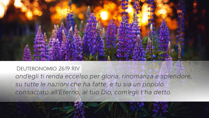 Deuteronomio 26:19 RIV Bible Verse Image