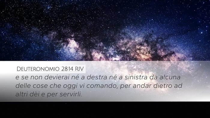 Deuteronomio 28:14 RIV Bible Verse Image