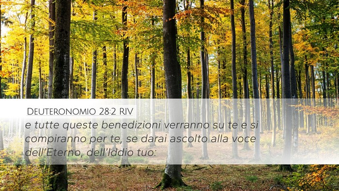 Deuteronomio 28:2 RIV Bible Verse Image