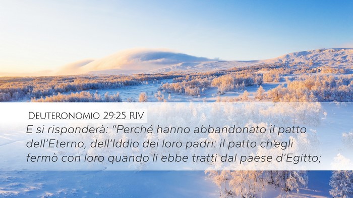 Deuteronomio 29:25 RIV Bible Verse Image