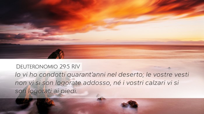 Deuteronomio 29:5 RIV Bible Verse Image