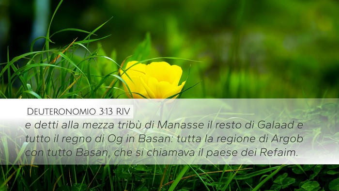 Deuteronomio 3:13 RIV Bible Verse Image
