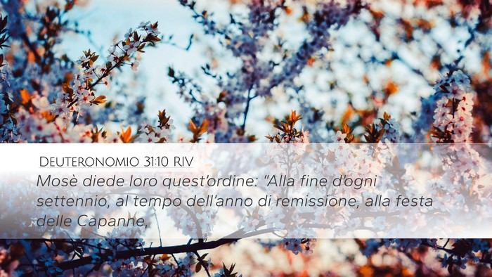 Deuteronomio 31:10 RIV Bible Verse Image