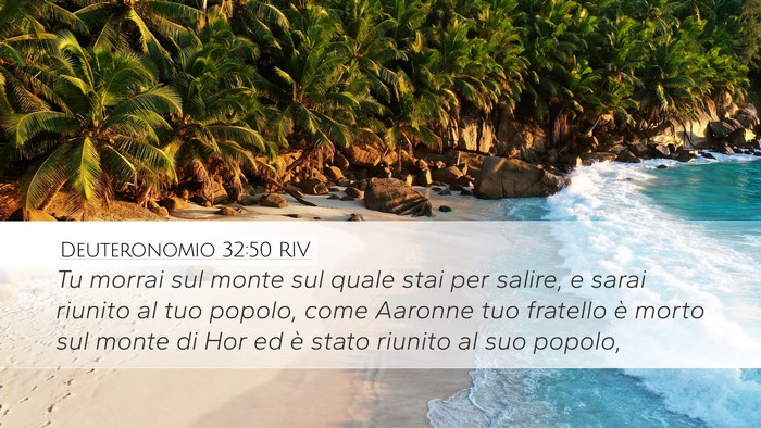 Deuteronomio 32:50 RIV Bible Verse Image