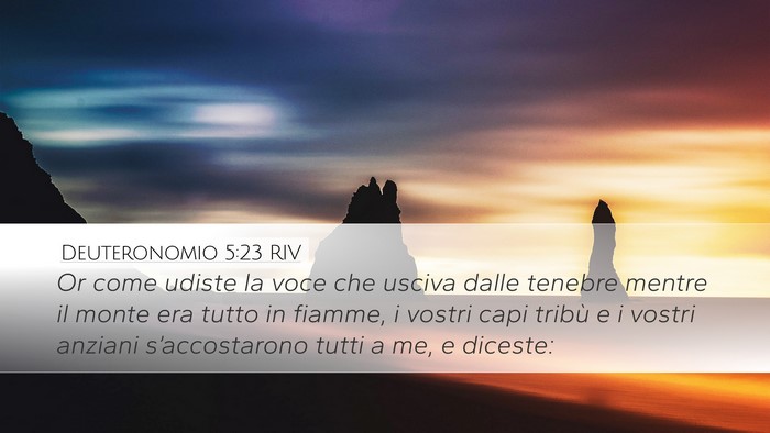 Deuteronomio 5:23 RIV Bible Verse Image