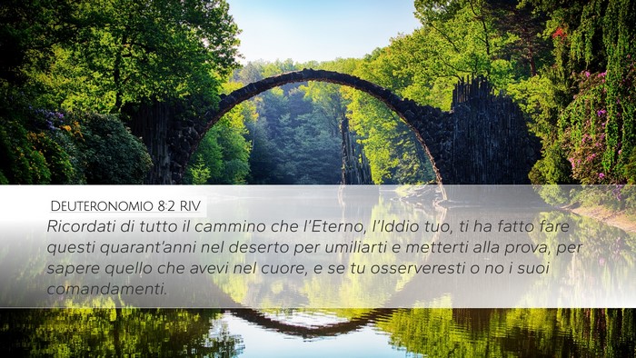 Deuteronomio 8:2 RIV Bible Verse Image