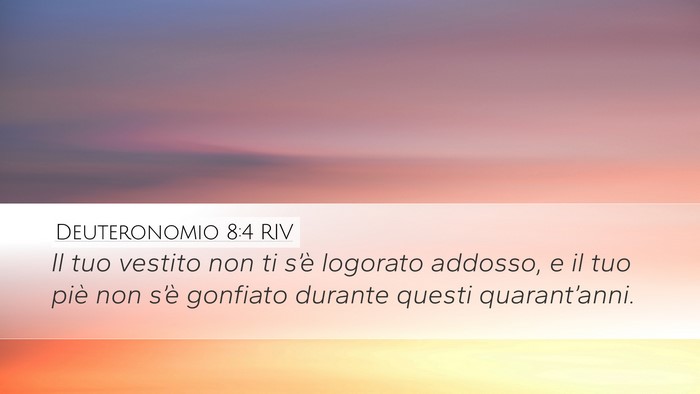 Deuteronomio 8:4 RIV Bible Verse Image