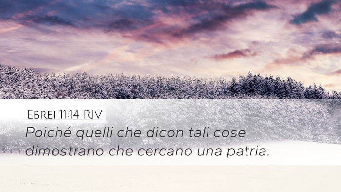 Ebrei 11:14 RIV Bible Verse Image