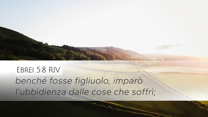 Ebrei 5:8 RIV Bible Verse Image