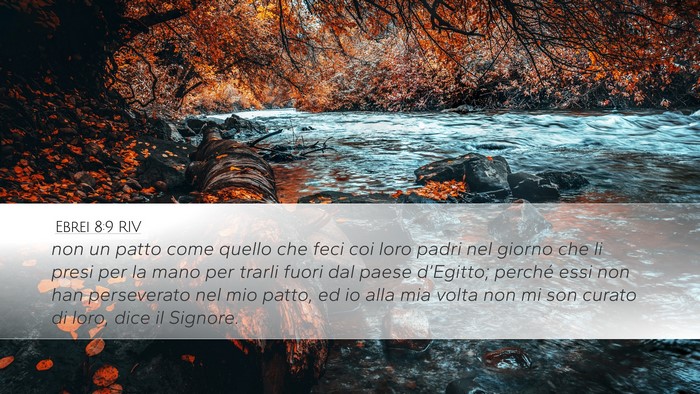 Ebrei 8:9 RIV Bible Verse Image