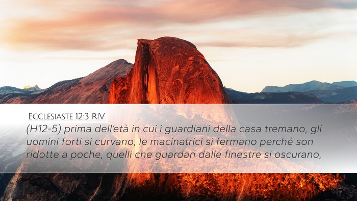 Ecclesiaste 12:3 RIV Bible Verse Image