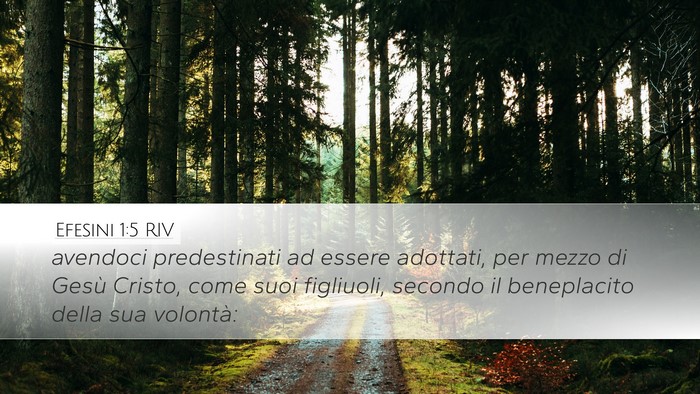 Efesini 1:5 RIV Bible Verse Image