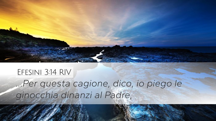 Efesini 3:14 RIV Bible Verse Image