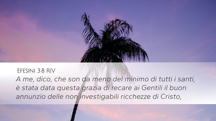 Efesini 3:8 RIV Bible Verse Image