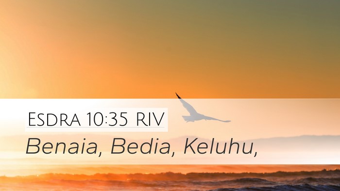 Esdra 10:35 RIV Desktop Wallpaper - Benaia, Bedia, - Desktop Bible Verse Wallpaper