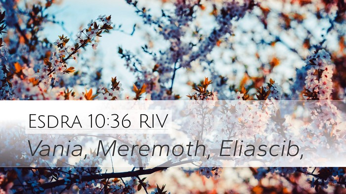Esdra 10:36 RIV Desktop Wallpaper - Vania, Meremoth, - Desktop Bible Verse Wallpaper