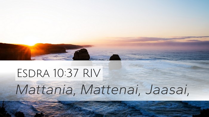 Esdra 10:37 RIV Desktop Wallpaper - Mattania, Mattenai, - Desktop Bible Verse Wallpaper
