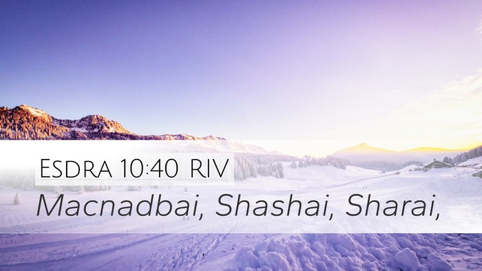 Esdra 10:40 RIV Desktop Wallpaper - Macnadbai, Shashai, - Desktop Bible Verse Wallpaper