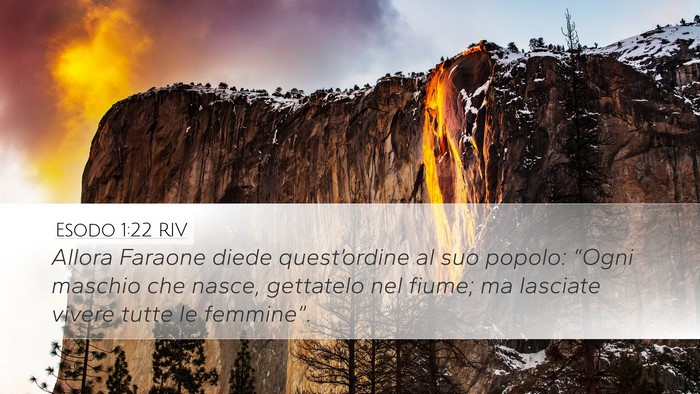Esodo 1:22 RIV Bible Verse Image