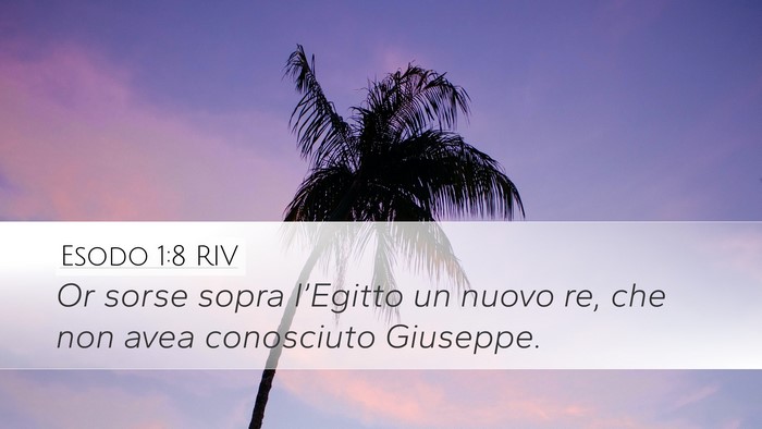 Esodo 1:8 RIV Bible Verse Image