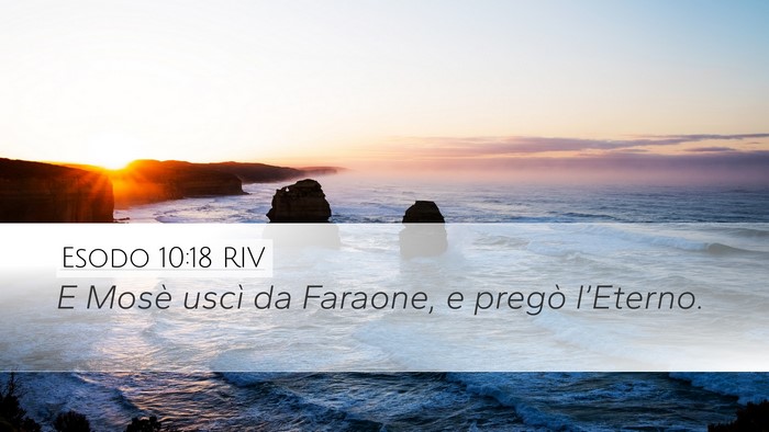 Esodo 10:18 RIV Bible Verse Image