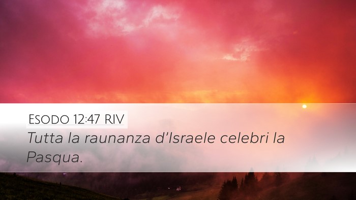 Esodo 12:47 RIV Desktop Wallpaper - Tutta la raunanza d’Israele celebri la - Desktop Bible Verse Wallpaper