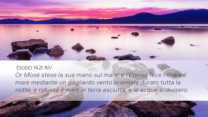 Esodo 14:21 RIV Bible Verse Image